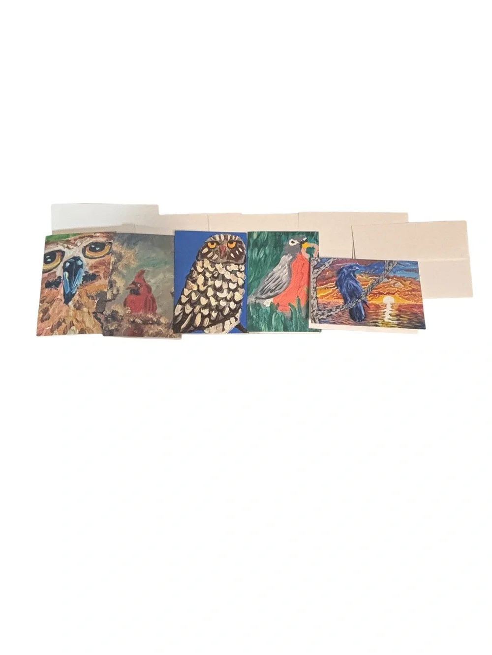 Birds of Wonder Greeting Card Set of 5 by Briefcase Artist